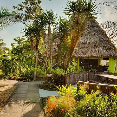 Windy Hill Resort San Ignacio Exterior photo