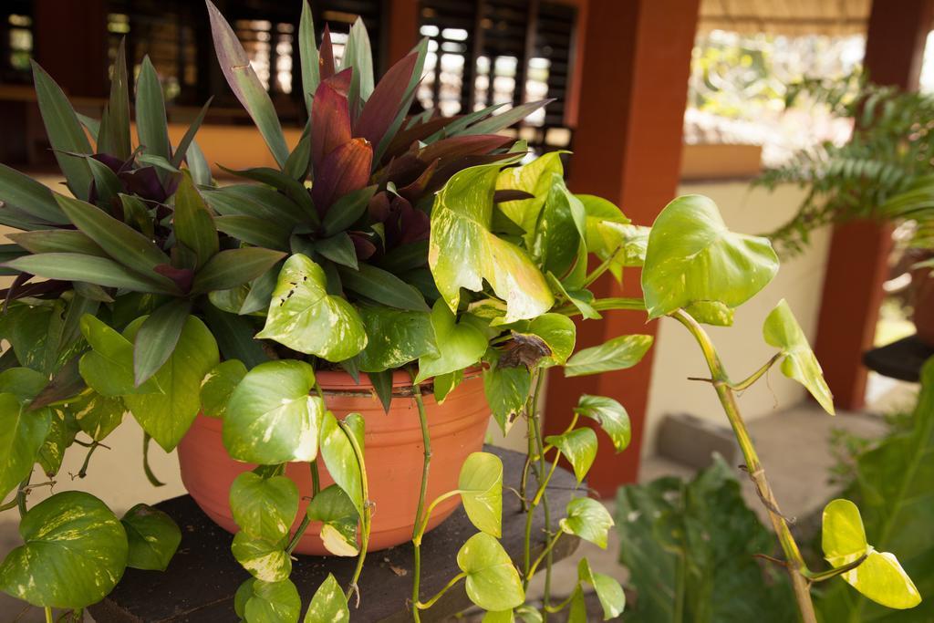 Windy Hill Resort San Ignacio Exterior photo