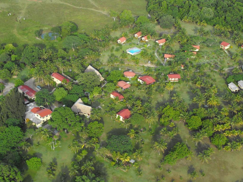 Windy Hill Resort San Ignacio Exterior photo